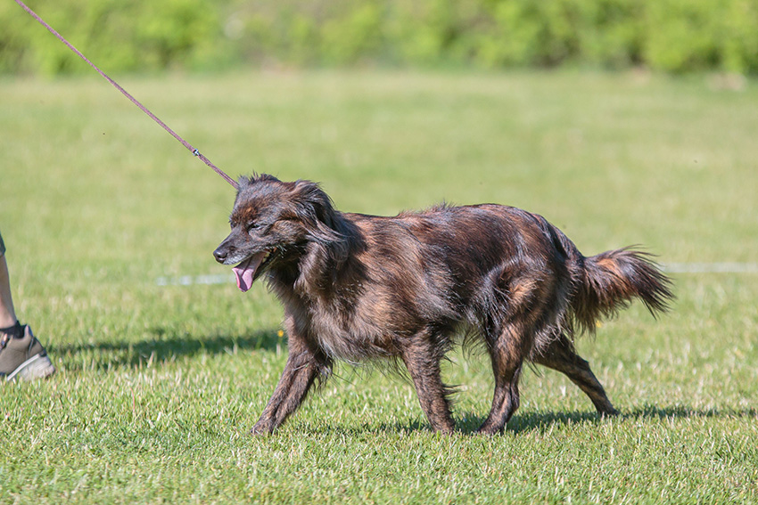 Kuva Anniina Kallioniemi